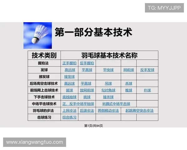 上海羽毛球队联赛表现分析团队配合与战术执行的关键因素探讨