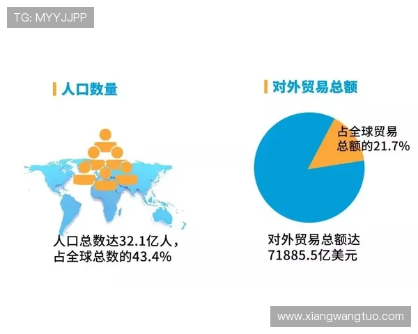 上海网球队的转型之路与杯赛征程的深度剖析与展望 上海网球队的转型之路与杯赛征程的深度剖析与展望