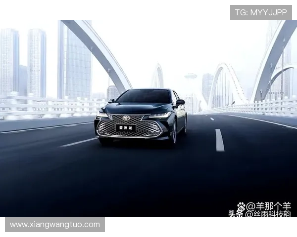 上海网球队在洲际杯积分榜上以62分稳居第一名，展现强劲实力