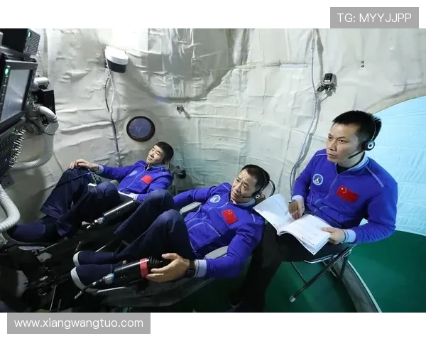 专访杨芳：深入探讨乒乓球背后的成功秘诀与训练心得