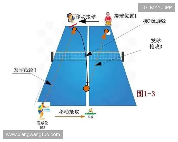 乒乓球深度解析成都乒乓球队的战术控制与训练秘诀 乒乓球深度解析成都乒乓球队的战术控制与训练秘诀