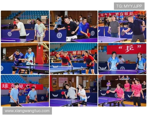 乒乓球的魅力与团结力量重庆乒乓球队的协作之道揭秘 乒乓球的魅力与团结力量重庆乒乓球队的协作之道揭秘