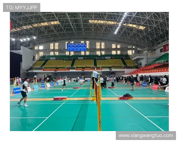 成都羽毛球队个人能力深度对比分析揭示选手潜力与发展方向