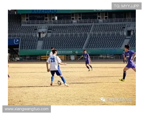 武汉羽毛球队在锦标赛中的卓越表现与力量分析